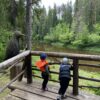 Salaca: cauri Skaņākalna Dabas parkam - Image 4