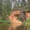 Salaca: cauri Skaņākalna Dabas parkam - Image 6